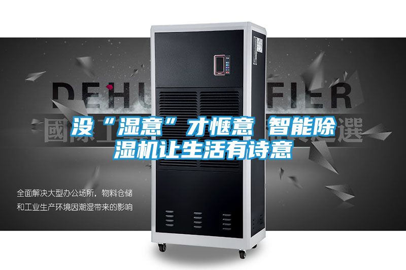 没“湿意”才惬意 智能除湿机让生活有诗意