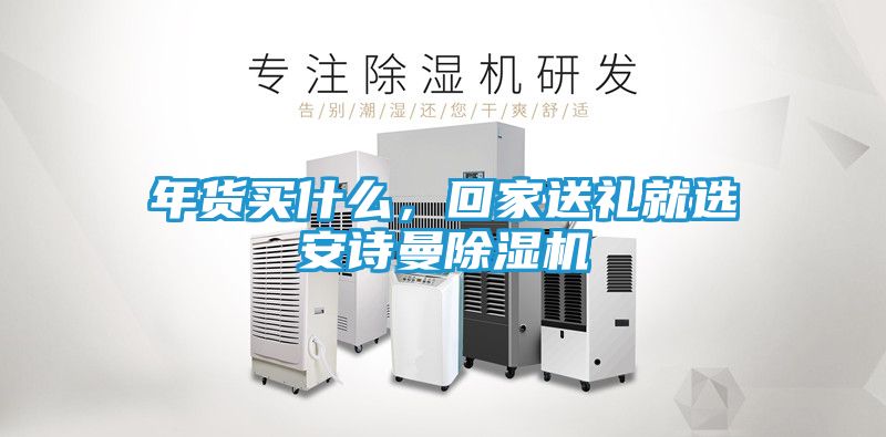 年货买什么，回家送礼就选安诗曼除湿机