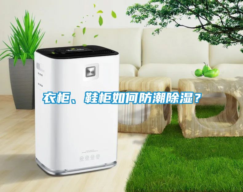 衣柜、鞋柜如何防潮除湿？