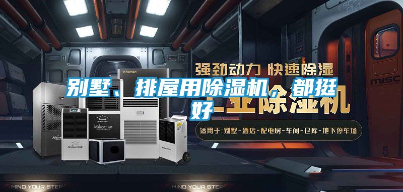 别墅、排屋用除湿机，都挺好