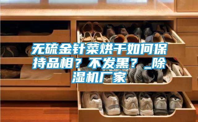 无硫金针菜烘干如何保持品相？不发黑？_除湿机厂家