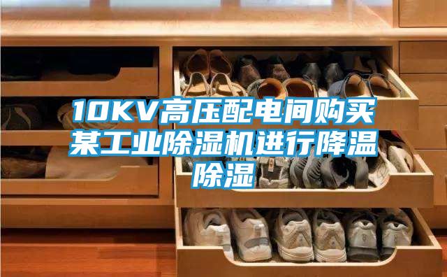 10KV高压配电间购买某工业除湿机进行降温除湿