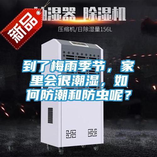 到了梅雨季节，家里会很潮湿，如何防潮和防虫呢？