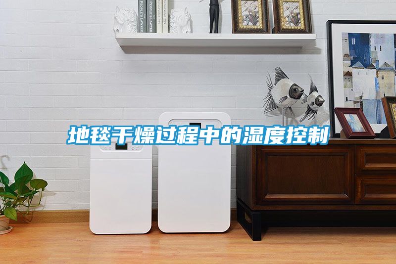 地毯干燥过程中的湿度控制