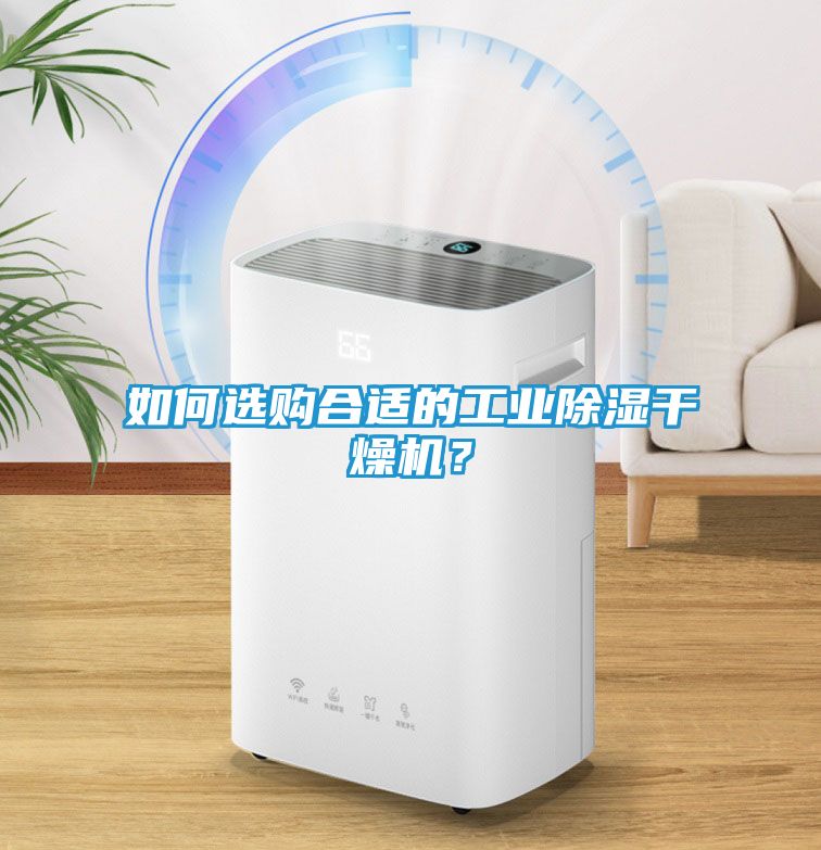 如何选购合适的工业除湿干燥机？