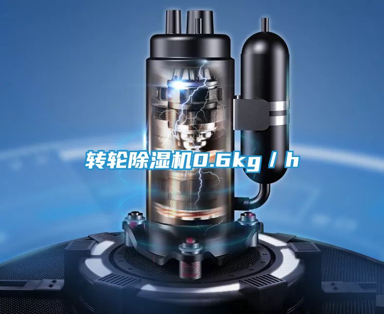 转轮除湿机0.6kg／h