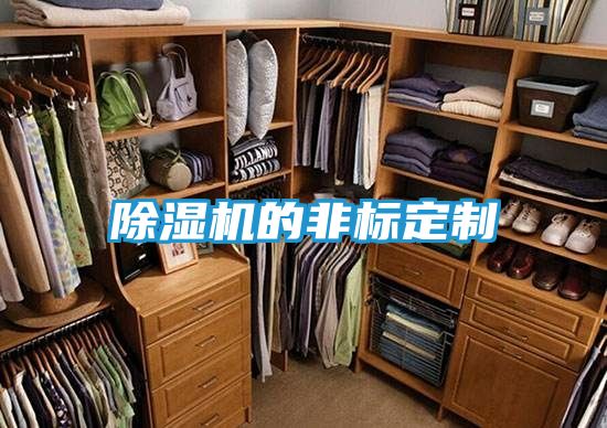 除湿机的非标定制