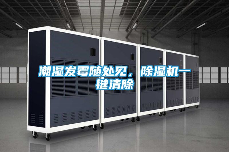 潮湿发霉随处见，除湿机一键清除