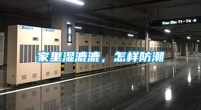 家里湿漉漉，怎样防潮