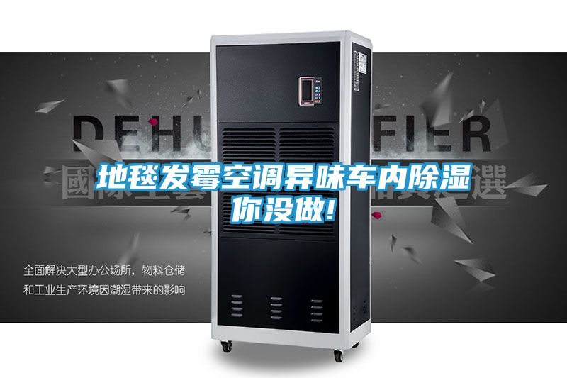 地毯发霉空调异味车内除湿你没做!