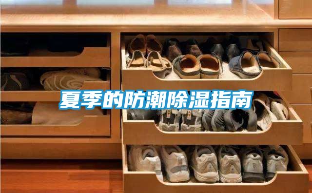 夏季的防潮除湿指南