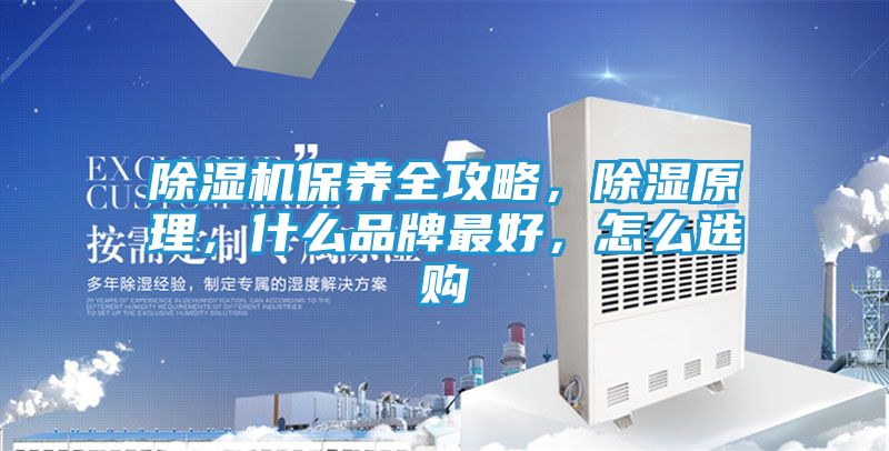 除湿机保养全攻略，除湿原理，什么品牌最好，怎么选购