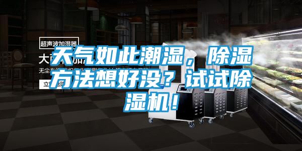 天气如此潮湿，除湿方法想好没？试试除湿机！