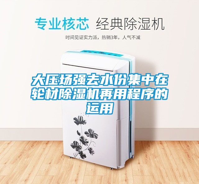 大压场强去水份集中在轮材除湿机再用程序的运用