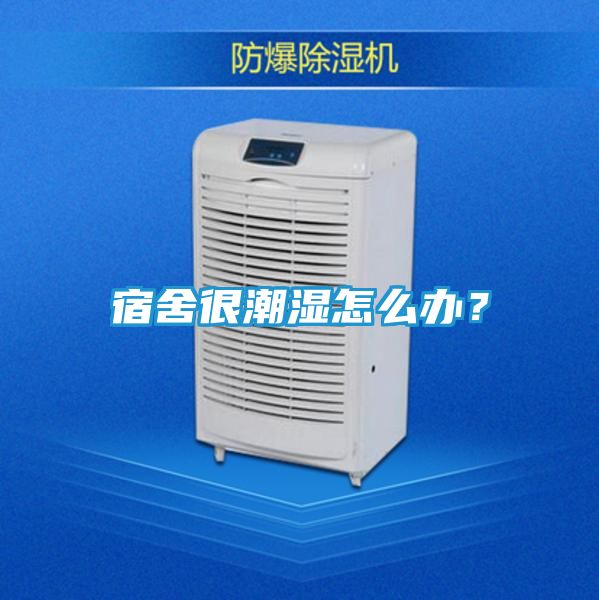 宿舍很潮湿怎么办？