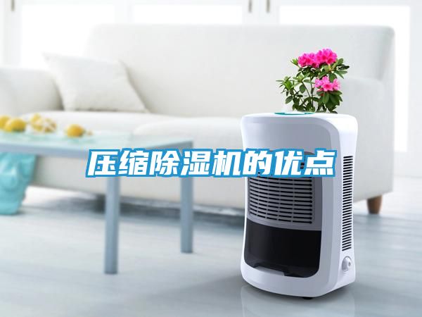 压缩除湿机的优点