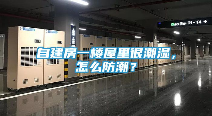 自建房一楼屋里很潮湿,怎么防潮?