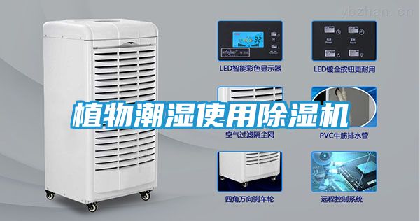 植物潮湿使用除湿机