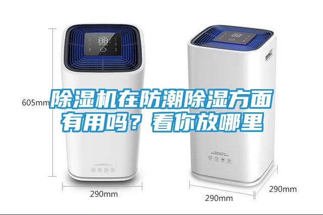 除湿机在防潮除湿方面有用吗?看你放哪里