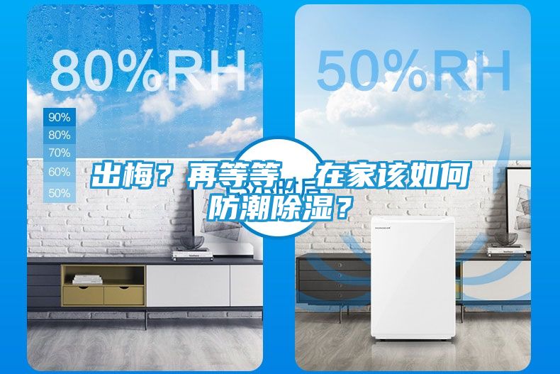 出梅？再等等，在家该如何防潮除湿？