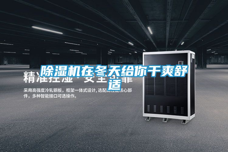 除湿机在冬天给你干爽舒适
