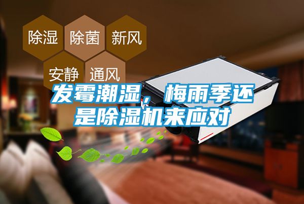 发霉潮湿，梅雨季还是除湿机来应对