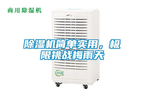 除湿机简单实用，极限挑战梅雨天