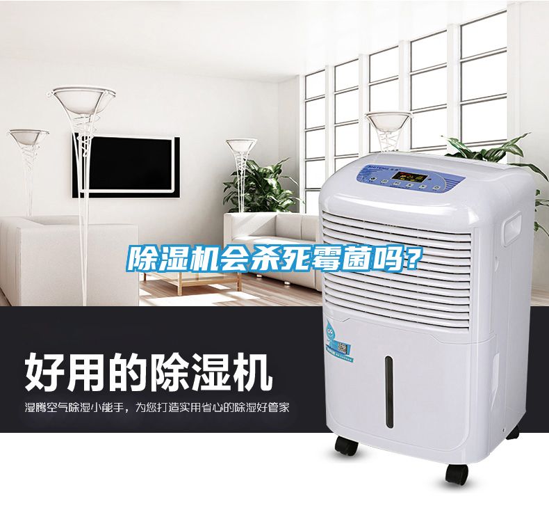 除湿机会杀死霉菌吗？