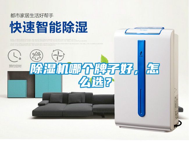 除湿机哪个牌子好，怎么选？