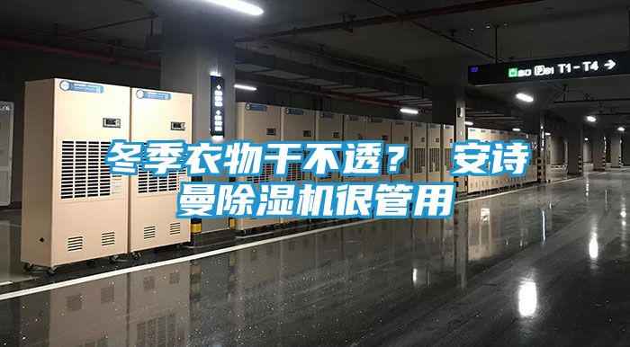 冬季衣物干不透？ 安诗曼除湿机很管用
