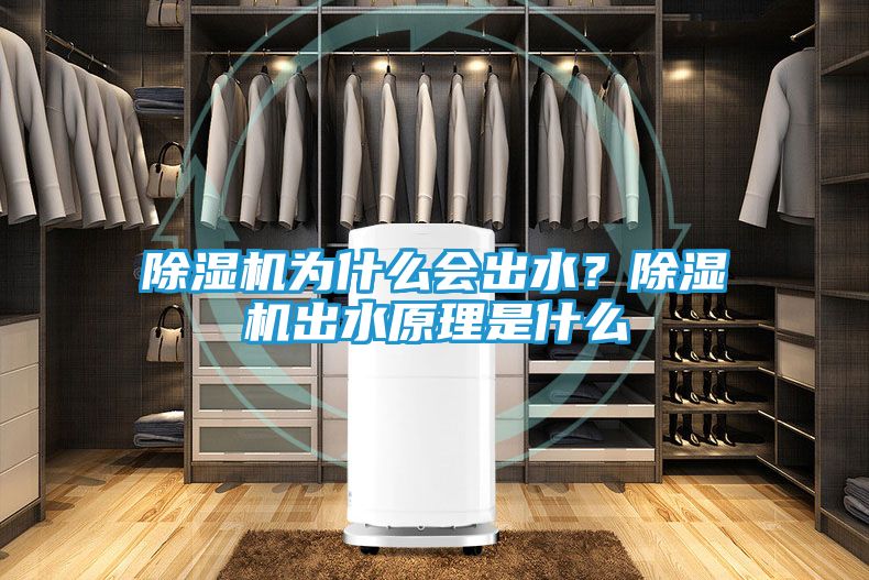 除湿机为什么会出水？除湿机出水原理是什么