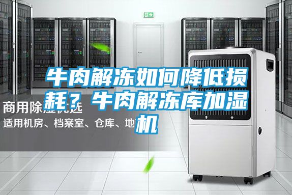 牛肉解冻如何降低损耗?牛肉解冻库加湿机