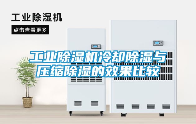 工业除湿机冷却除湿与压缩除湿的效果比较
