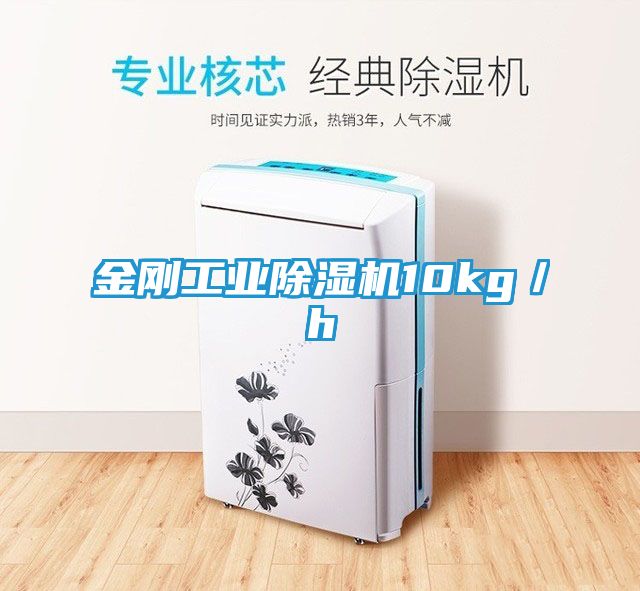 金刚工业除湿机10kg／h