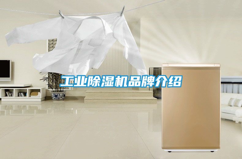 工业除湿机品牌介绍
