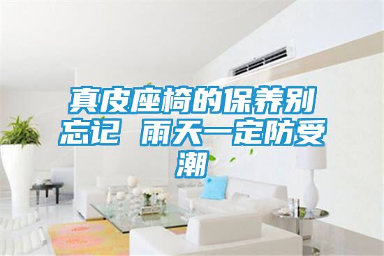 真皮座椅的保养别忘记 雨天一定防受潮