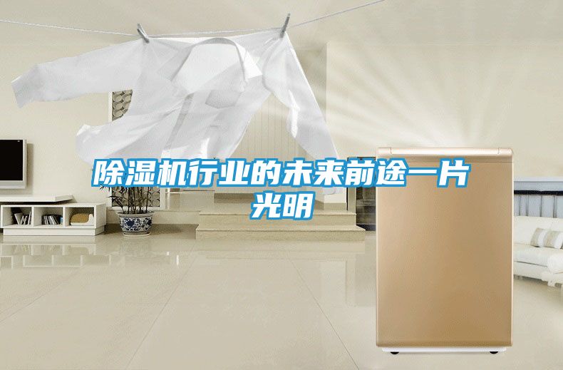 除湿机行业的未来前途一片光明