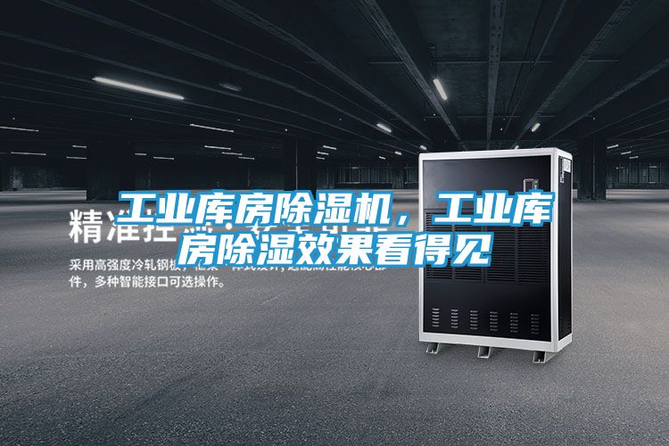 工业库房除湿机，工业库房除湿效果看得见