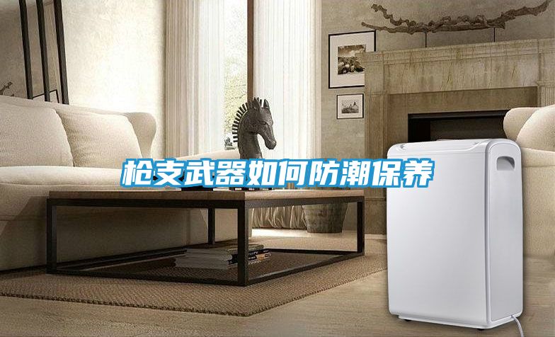 枪支武器如何防潮保养