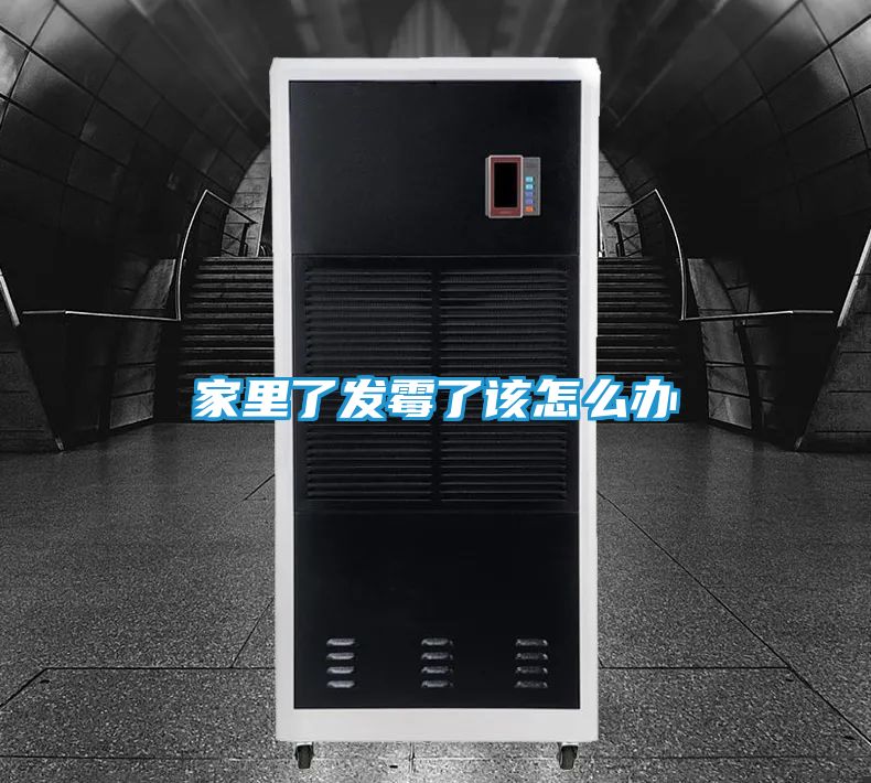 家里了发霉了该怎么办