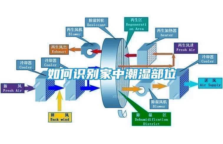 如何识别家中潮湿部位
