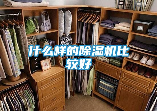什么样的除湿机比较好