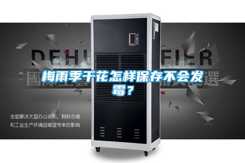 梅雨季干花怎样保存不会发霉？