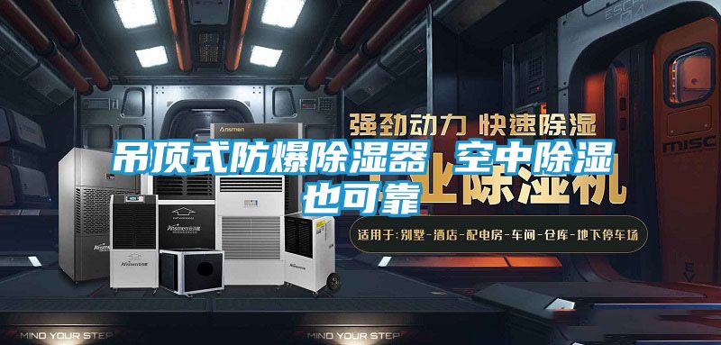 吊顶式防爆除湿器 空中除湿也可靠