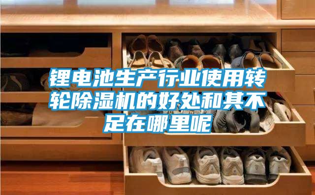 锂电池生产行业使用转轮除湿机的好处和其不足在哪里呢