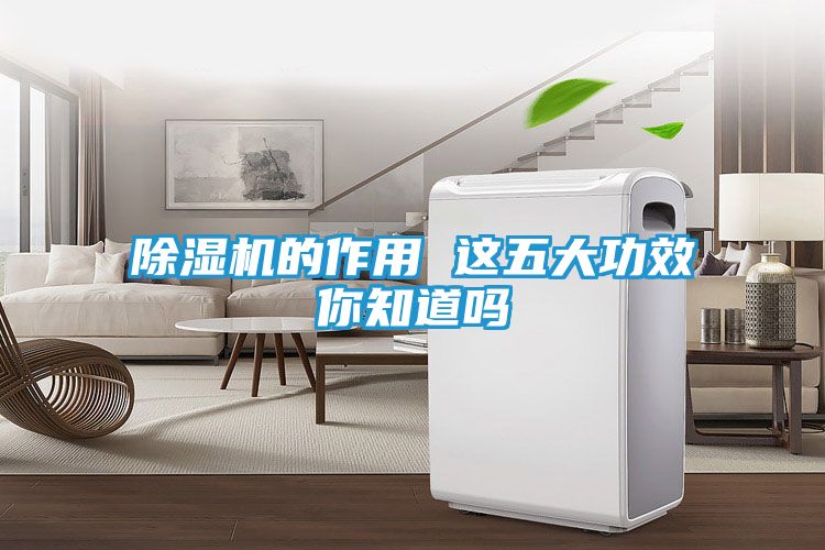 除湿机的作用 这五大功效你知道吗