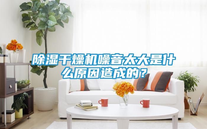 除湿干燥机噪音太大是什么原因造成的？