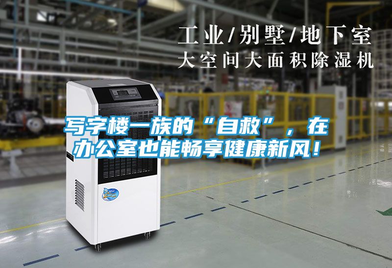 写字楼一族的“自救”，在办公室也能畅享健康新风！