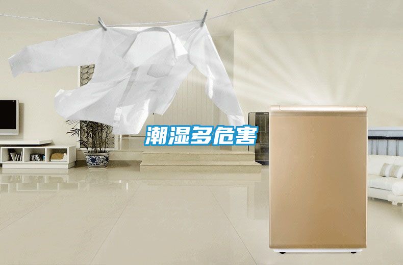 潮湿多危害