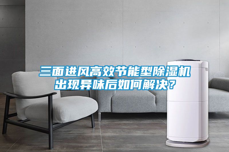 三面进风高效节能型除湿机出现异味后如何解决？